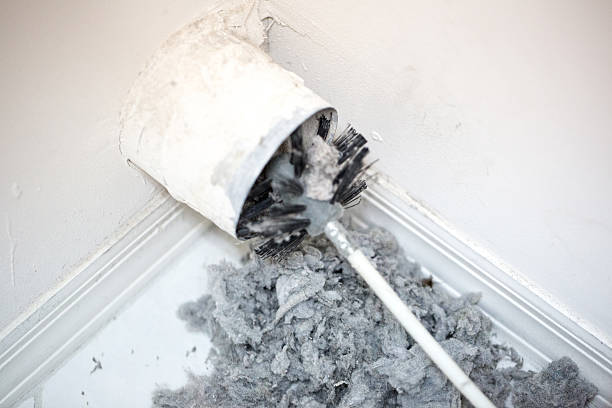 Air Duct Mold Removal in Moscow Mills, MO