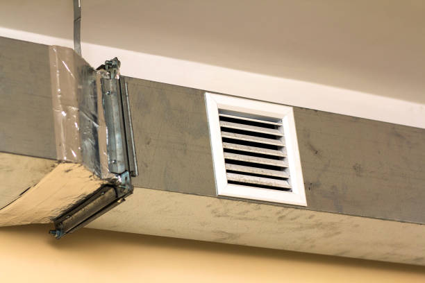 Best Air Duct Mold Removal  in Scow Mills, MO